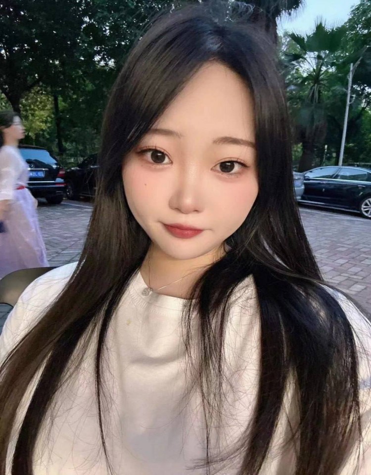 欧美人动物ppt免费模板大全,免费在线观看